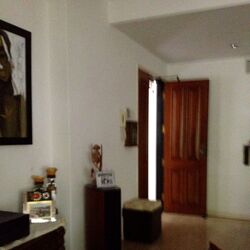 Regency Park (D10), Condominium #393564901